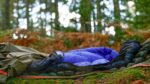 Criterion Quantum 200 in a forested area